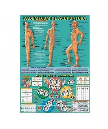 Agujas de acupuntura de tipo coreano - Material de Fisioterapia Online.es